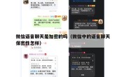 微信语音聊天是加密的吗（微信中的语音聊天保密性怎样）