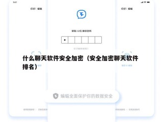 什么聊天软件安全加密（安全加密聊天软件 排名）
