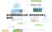 聊天加密的词语怎么说的（聊天加密软件哪个最好用）