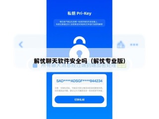 解忧聊天软件安全吗（解忧专业版）