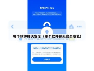 哪个软件聊天安全（哪个软件聊天安全隐私）