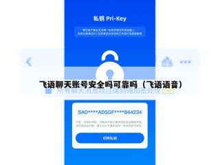 飞语聊天账号安全吗可靠吗（飞语语音）