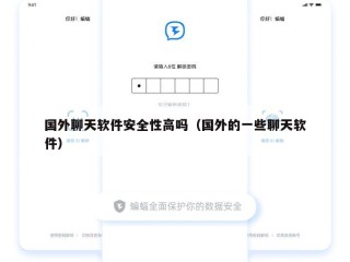 国外聊天软件安全性高吗（国外的一些聊天软件）