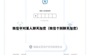 微信中对某人聊天加密（微信个别聊天加密）