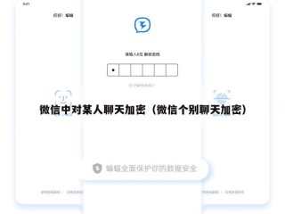 微信中对某人聊天加密（微信个别聊天加密）