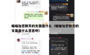 蝙蝠加密聊天的文案是什么（蝙蝠加密聊天的文案是什么意思啊）