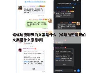 蝙蝠加密聊天的文案是什么（蝙蝠加密聊天的文案是什么意思啊）