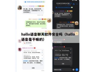 hallo语音聊天软件安全吗（hallo语音是干嘛的）