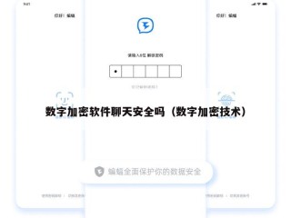 数字加密软件聊天安全吗（数字加密技术）
