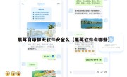 黑莓自带聊天软件安全么（黑莓软件有哪些）