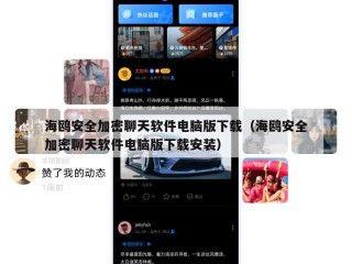海鸥安全加密聊天软件电脑版下载（海鸥安全加密聊天软件电脑版下载安装）