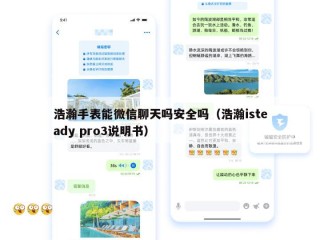 浩瀚手表能微信聊天吗安全吗（浩瀚isteady pro3说明书）