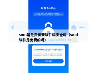 soul是免费聊天软件吗安全吗（soul软件是免费的吗）