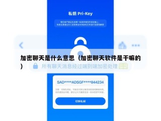 加密聊天是什么意思（加密聊天软件是干嘛的）