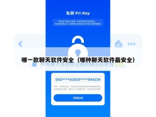 哪一款聊天软件安全（哪种聊天软件最安全）