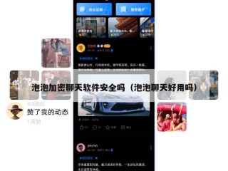 泡泡加密聊天软件安全吗（泡泡聊天好用吗）