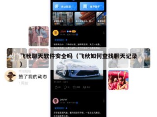 飞秋聊天软件安全吗（飞秋如何查找聊天记录）
