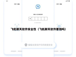 飞机聊天软件安全性（飞机聊天软件要钱吗）