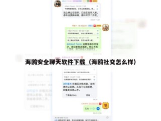 海鸥安全聊天软件下载（海鸥社交怎么样）