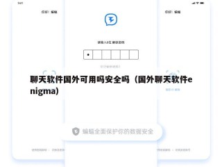 聊天软件国外可用吗安全吗（国外聊天软件enigma）