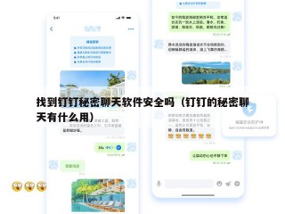 找到钉钉秘密聊天软件安全吗（钉钉的秘密聊天有什么用）