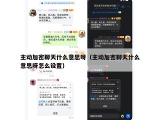 主动加密聊天什么意思呀（主动加密聊天什么意思呀怎么设置）